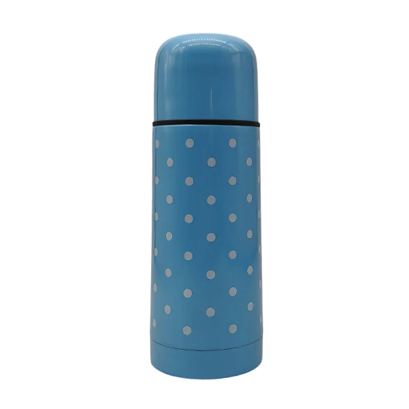 Wasserflasche aus Edelstahl 304